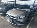 Mercedes A 250 1332 cc Automatic (2022)